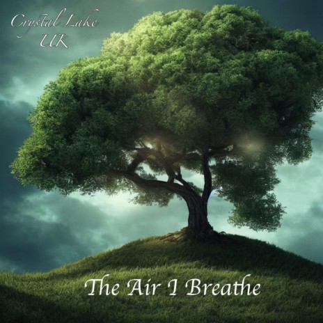 THE AIR I BREATHE | Boomplay Music