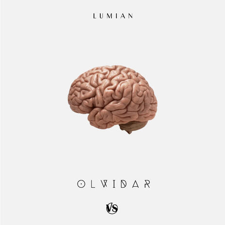 Olvidar (Reggae Version) | Boomplay Music