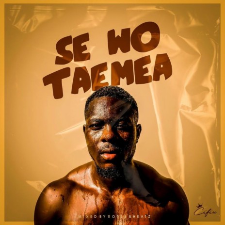 Se Wo Taemea | Boomplay Music