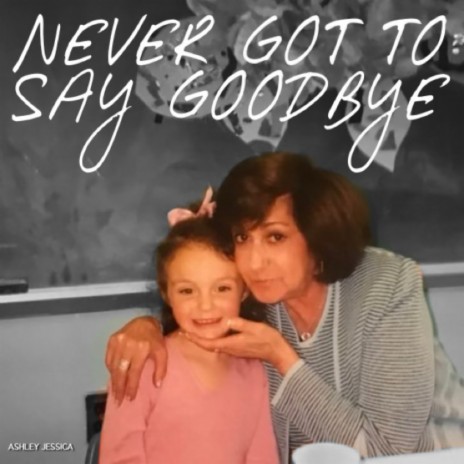 Never Got to Say Goodbye | Boomplay Music