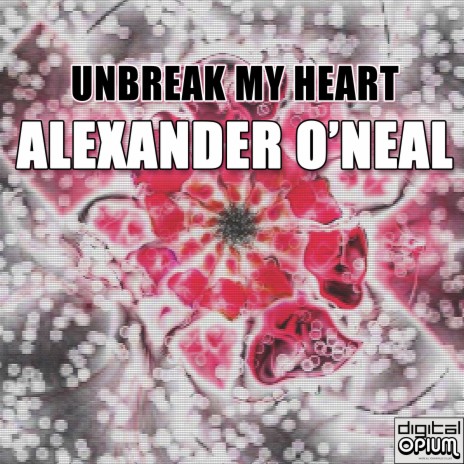 Unbreak My Heart | Boomplay Music