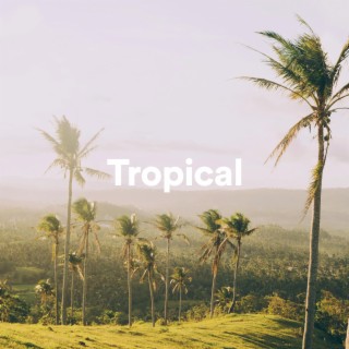 Tropical