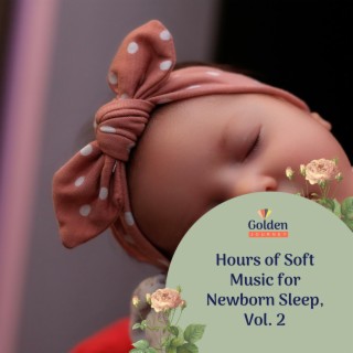 Hours of Soft Music for Newborn Sleep, Vol. 2