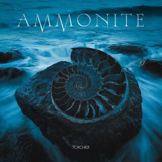 Ammonite