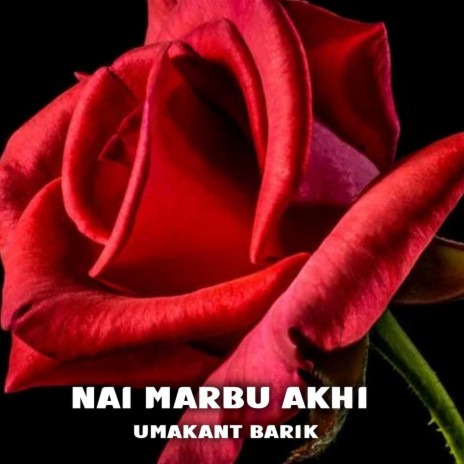 Nai Marbu Akhi | Boomplay Music