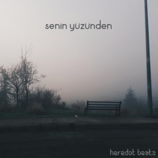 Senin Yüzünden