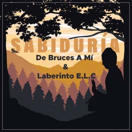 Sabiduría ft. Laberinto E.L.C | Boomplay Music