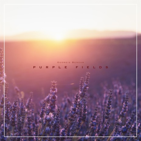 Purple Fields | Boomplay Music