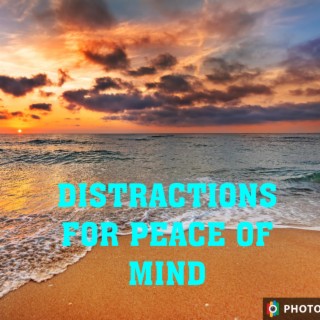 DISTRACTIONS FOR PEACE OF MIND