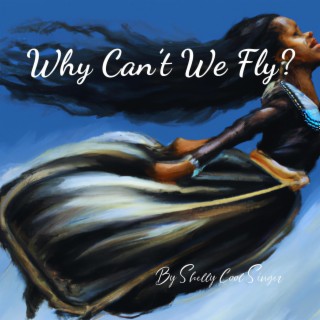 Why Can't We Fly? lyrics | Boomplay Music