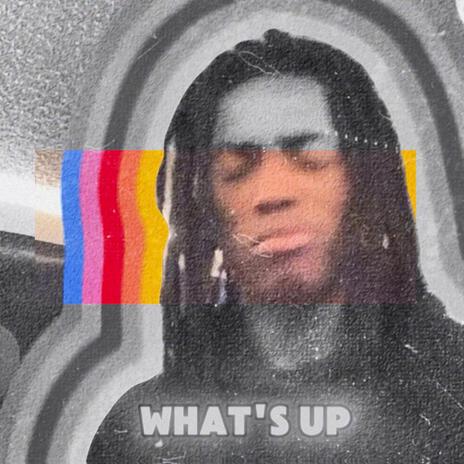 What's Up | Boomplay Music