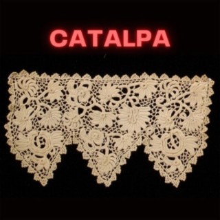 Catalpa