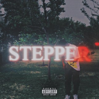 Stepper