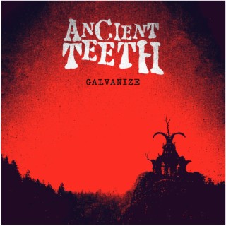 Ancient Teeth