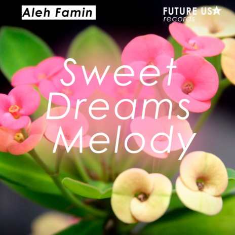 Sweet Dreams Melody | Boomplay Music
