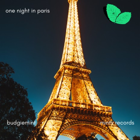 one night in paris