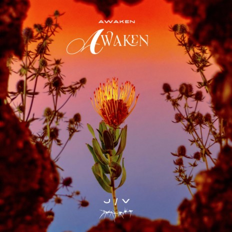 Awaken (Radio Edit) | Boomplay Music