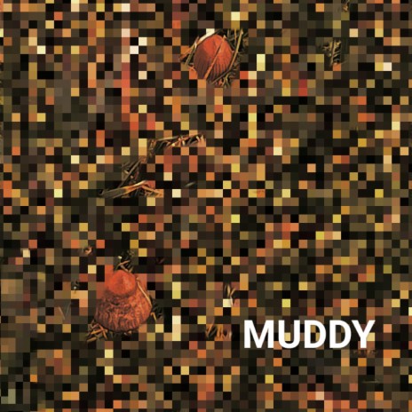 muddy | Boomplay Music