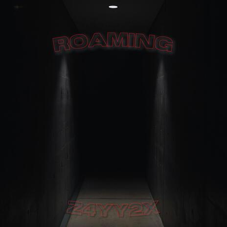 Roaming | Boomplay Music