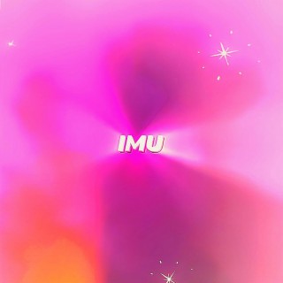 IMU