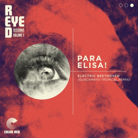 Para Elisa! (Guacamayo Tropical Remix) | Boomplay Music
