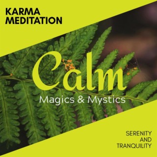 Karma Meditation - Serenity and Tranquility