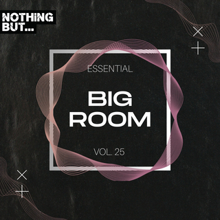 Nothing But... Essential Big Room, Vol. 25