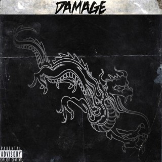 Damage