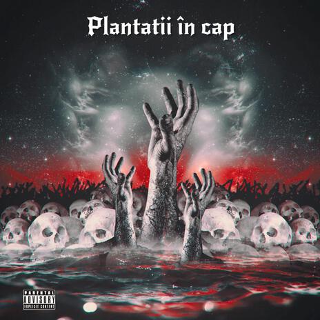 Plantatii in cap