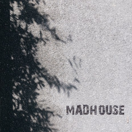 Madhouse ft. Amore Fati | Boomplay Music
