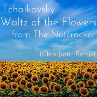 Tchaikovsky Waltz of the Flowers (Tropical House Remix)