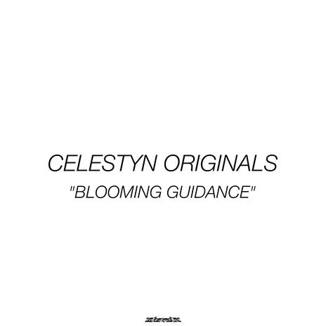 Blooming Guidance (DEKA Ver.) | Boomplay Music