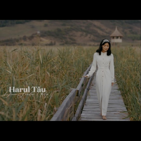 Harul Tau | Boomplay Music