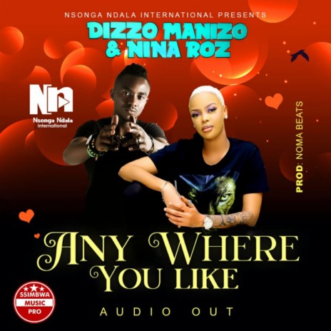 Anywhere you like ft. Nina Roz | Boomplay Music