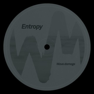 Entropy