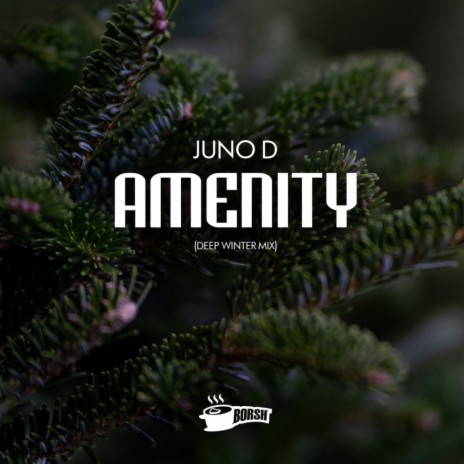 Amenity (Deep Winter Mix) | Boomplay Music