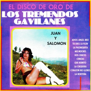 El disco de oro de los tremendos gavilanes Juan y Salomón