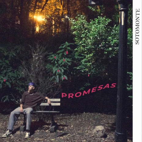 Promesas | Boomplay Music