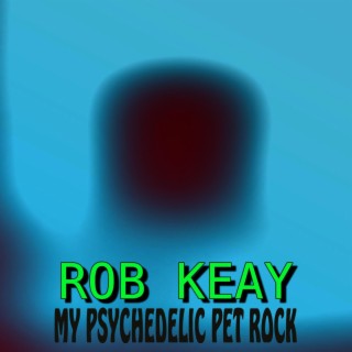 My Psychedelic Pet Rock