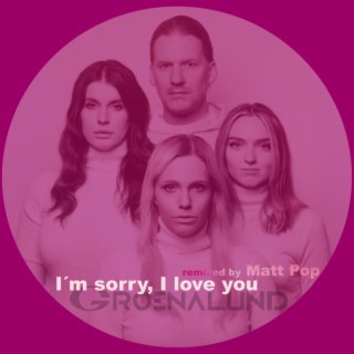 I´m sorry, I love you (Matt Pop Remix)