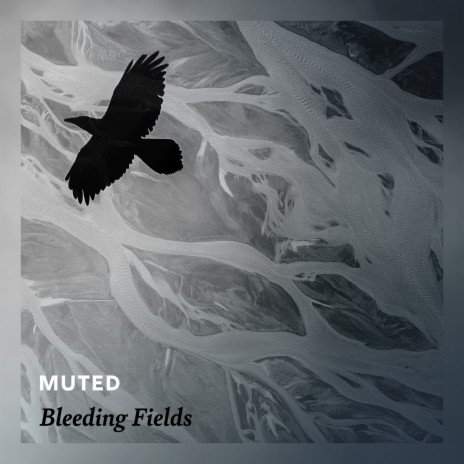 Bleeding Fields | Boomplay Music