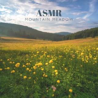 ASMR Mountain Meadow: Nature Relaxing Sounds & Birds, River, Brook, Grasshopper, Forest and Wind (Therapy Sessions for Stress Relief)