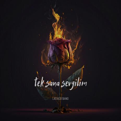 tek sana sevgilim | Boomplay Music