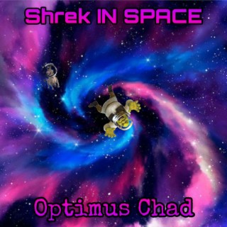 Shrek IN SPACE