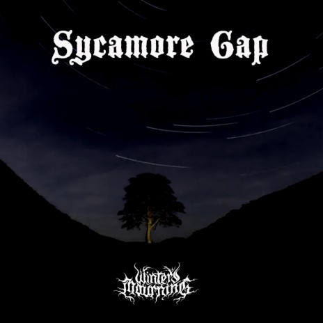Sycamore Gap | Boomplay Music