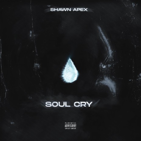 Soul Cry | Boomplay Music