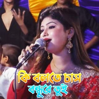 Ki Bolte Chas Bondhure Tui | কি বলতে চাস বন্ধুরে তুই | Munni Sarkar