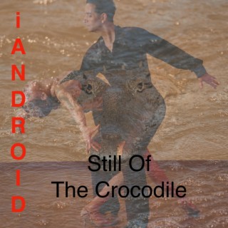 Still Of The Crocodile