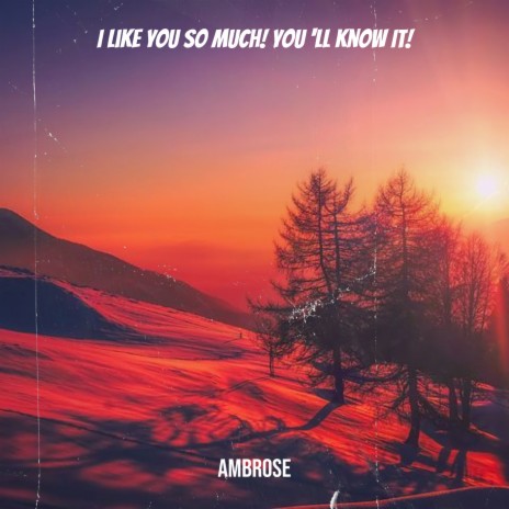 I Like You so Much! You 'll Know It! | Boomplay Music