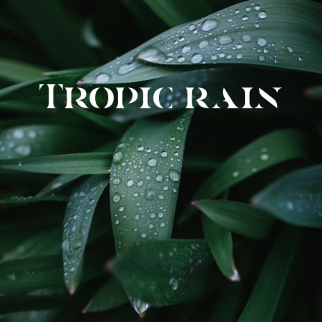 Tropic Rain